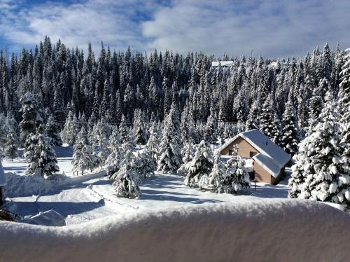 Elk City House | Secluded Cabin Rental with a Covered Back Deck in Elk City, Idaho