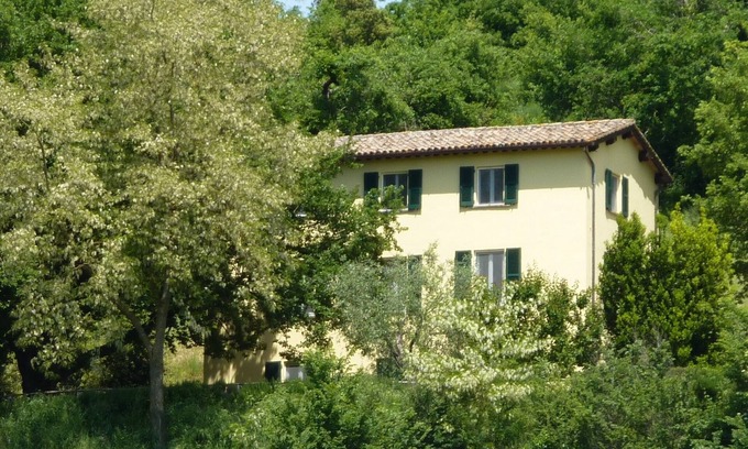 San Michele in Teverina Villa | Secluded country villa - large pool/table tennis/pool table/foosball/bocce court