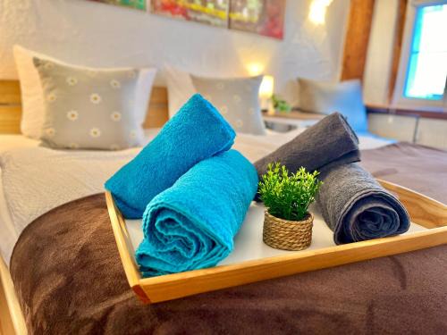 Altstadt Apartment | Seenest 'Zum blauen Schild' mit Parkplatz