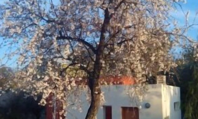 Calles Cottage | Self catering cottage La Aldea for 2 people