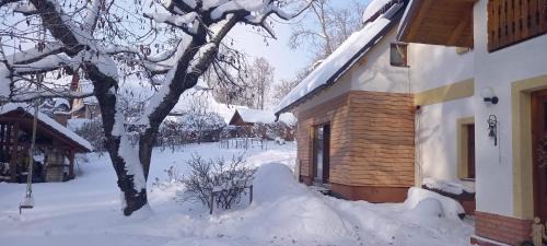 Janske Lazne Apartment | Selina