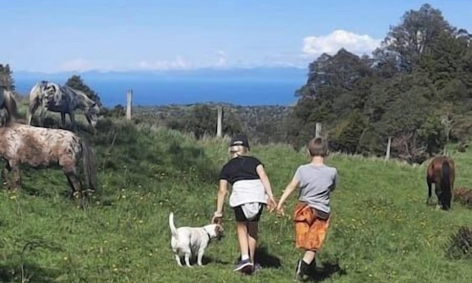 Takaka Hill Cabin | Settlers Cabin (Starlight)