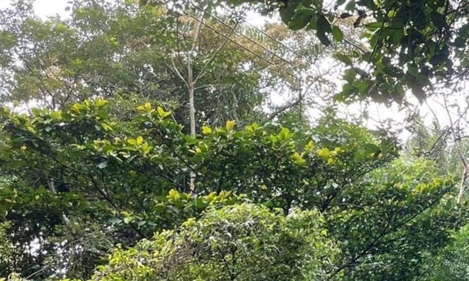 Nanzhuang Bed & Breakfast | Shan Xing Ji Ye Homestay