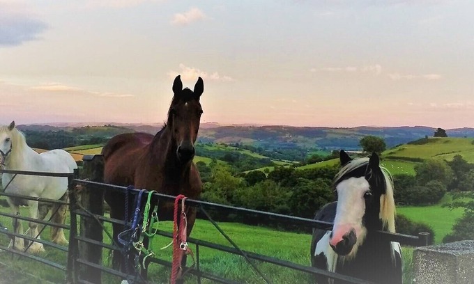 Llanfyllin Cottage | Shepherd's Watch Cottage - 5* Cyfie Farm, with private hot tub