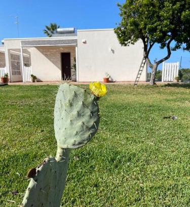 Brucoli House | Sicilia holiday Etna house