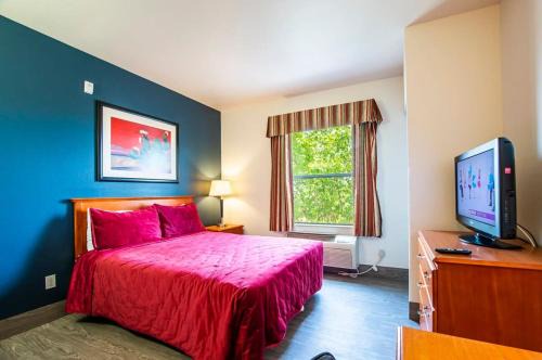 Sierra Vista Apartment | Sierra Vista studio apartment with full kitchen and King Bed
