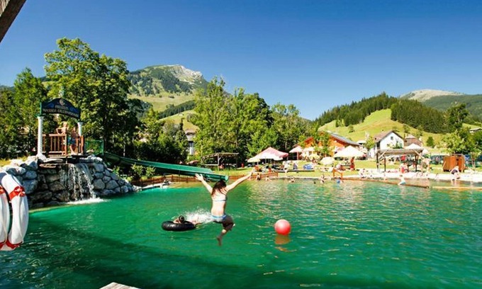 Russbach am Pass Gschuett Apartment | Single room with balcony - Pension Elisabeth