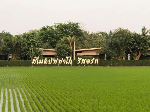 Manorom Resort | Smile Buffalo Resort สไมล์ รีสอร์ท