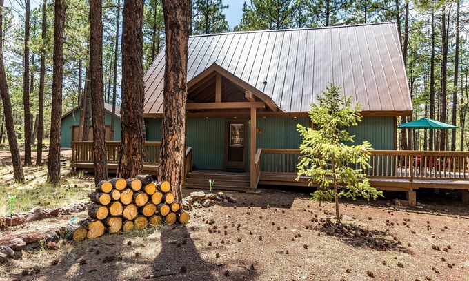 Williams Cabin | Snow Time Whimsical Forest Retreat for Family, Friends w/AC