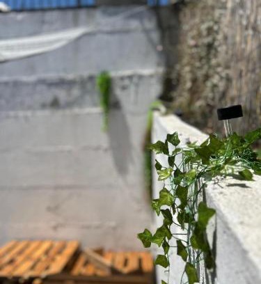 Sfendamion Apartment | Sofia's House