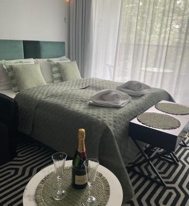 Dzielnica Uzdrowiskowa Apartment | Solne Apartamenty A233 z klimatyzacją Solny Resort