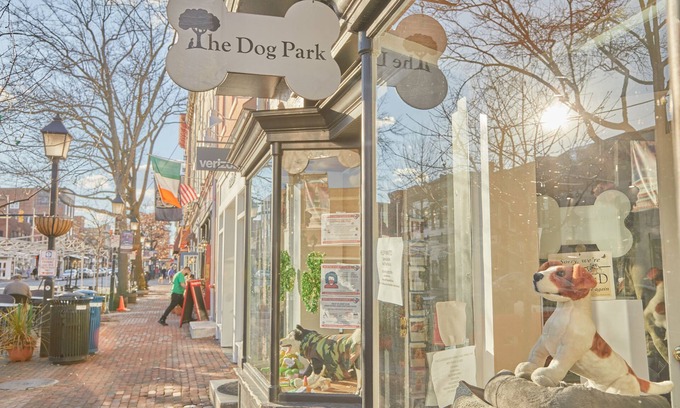 Old Town Alexandria Apartment | Sonder The Grace | Spacious Queen Studio Apartment