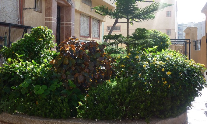 El Jadida Apartment | Spacious apartment - 84m2- 200m of the ocean in Morocco Eljadida