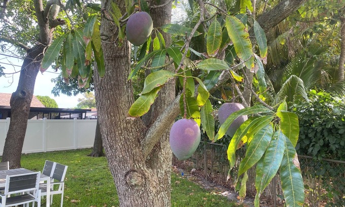 Miami Gardens House | Spacious home in Miami Garden near HardRock Stadium