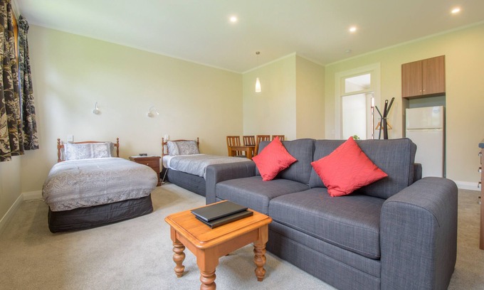 Speargrass Flat Apartment | Spacious, Modern Studio Apartment below Coronet Peak