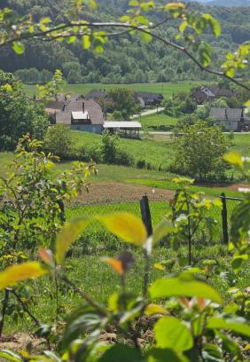 Vojnic Apartment | Srce Petrove gore