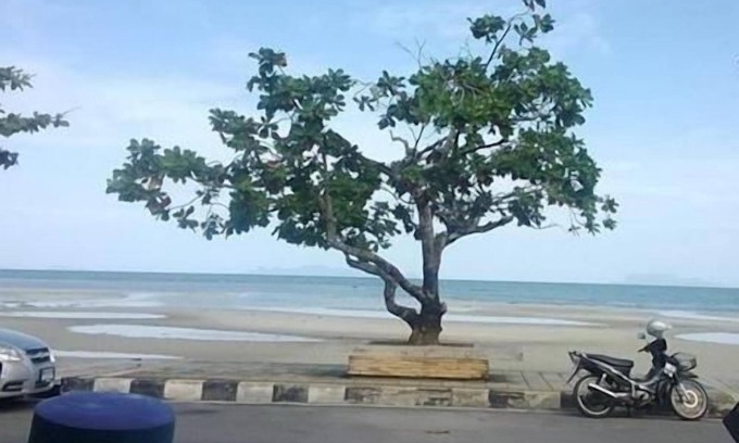 Na Thon Hotel | Sri Samui Hotel