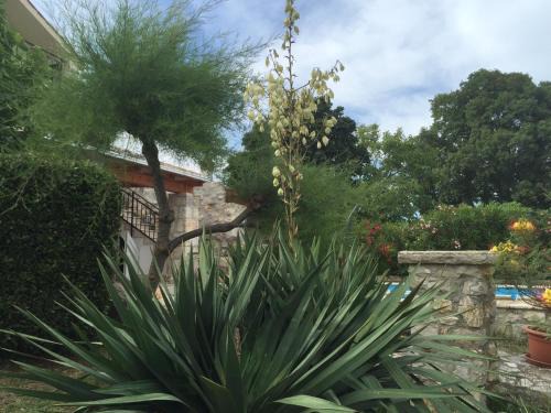 Marasi Villa | Stancieta Ulrihi