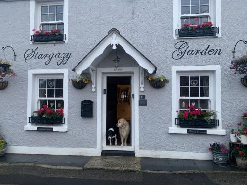 Hayle House | Stargazy - a truly unique cottage