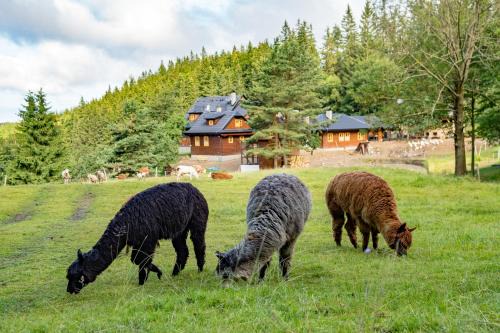 Velke Karlovice House | Statek U Rajmunda zemědělská farma