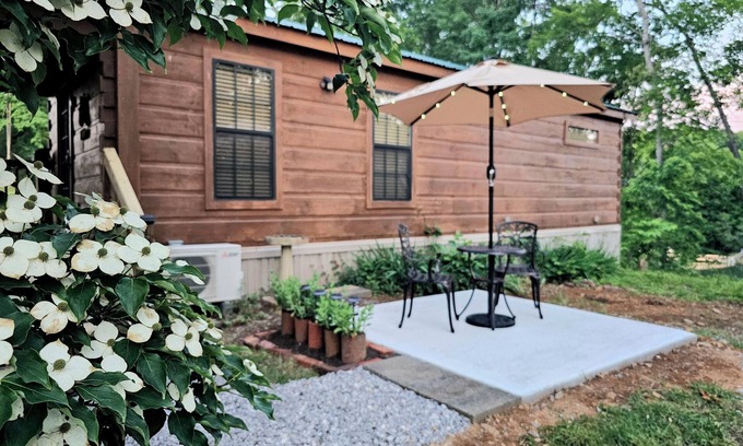 Sevierville Cabin | Stay 4 Nights Pay 3 Now–Dec 2025, Excludes Holidays! Douglas Lakeview 1BR Cabin