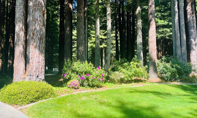 Crescent City House | Stay in your own Redwood Wonderland