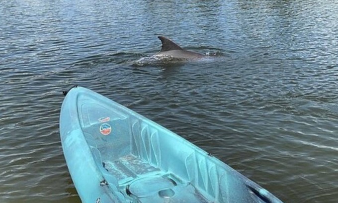 Cocoa Isles Country Club Condo | Stay Where Dolphins Play,Water Front