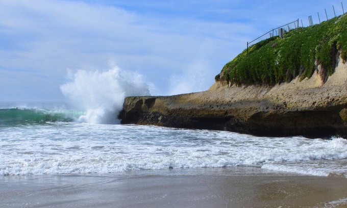 Eastside Santa Cruz House | Steps to Sunny Cove Beach! Boardwalk, WiFi, Starbucks, Restaurants, Family Fun!