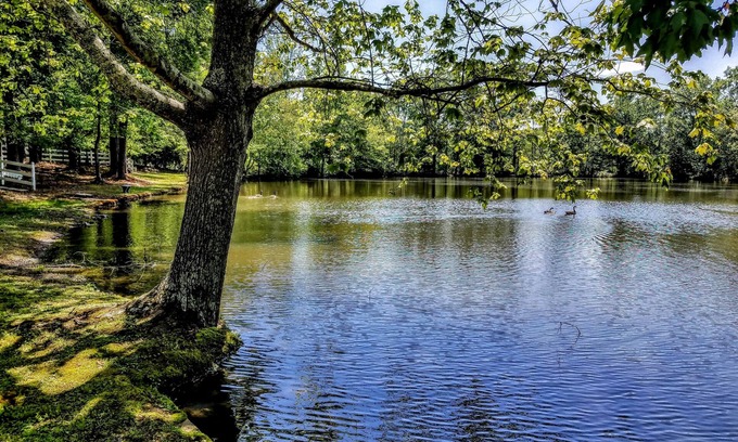 Stockbridge Bed & Breakfast | Stockbridge Lakes Bed & Breakfast