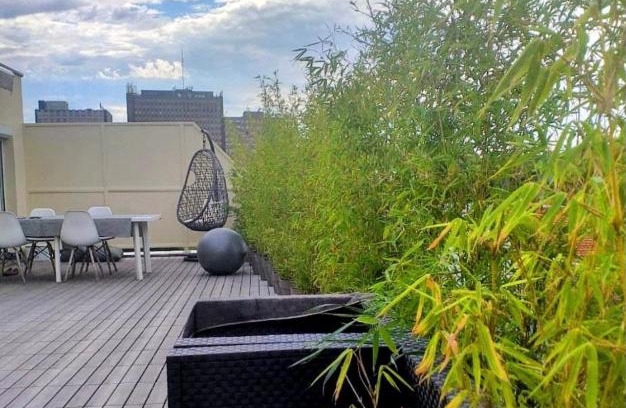 Poincare Apartment | Strasbourg centre proche gare