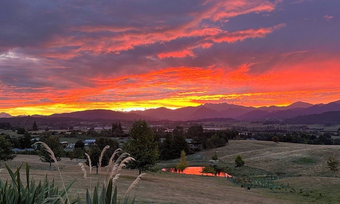 Motueka Other | Studio 1, Studio One - Tasman View Accommodation