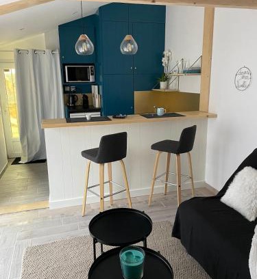 Sainte-Soulle Apartment | Studio charmant