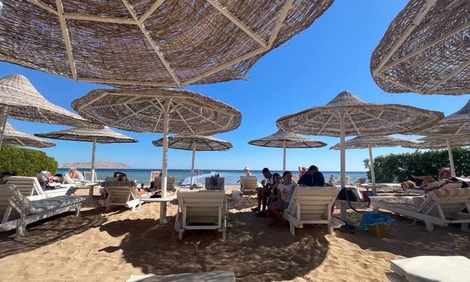 Sharm El Sheikh Apartment | Studio in Sharm Hills, Sharm el Sheikh + private garden + pool view