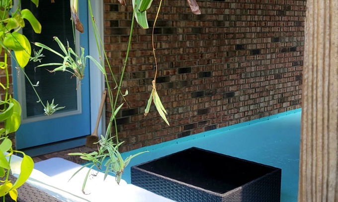 Milton Apartment | Studio Flat minutes from Emerald Coasts BeachesnnnDeep Discount on Second Month