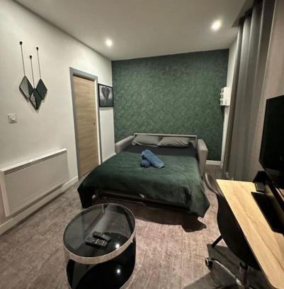 Jacquard - Prefecture Apartment | Studio Jean Jaurès - centre ville, Détente&Elégance