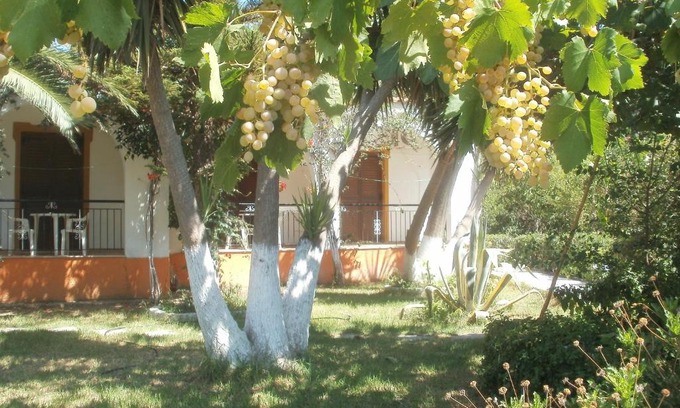 Xanemos Apartment | Studios Dimitris