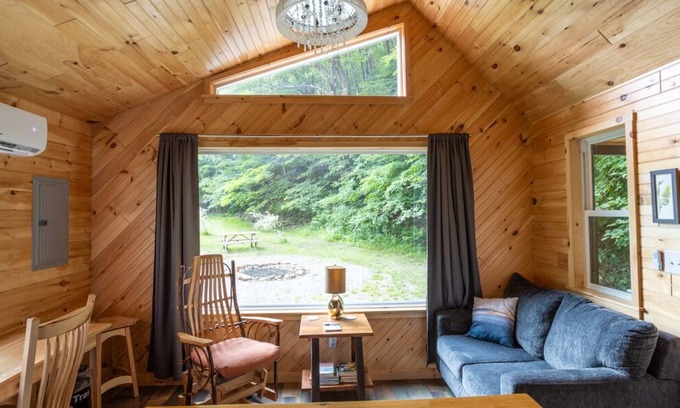 Dailey Cabin | Stunning Cabin/Mountain Hiking/National Forest!