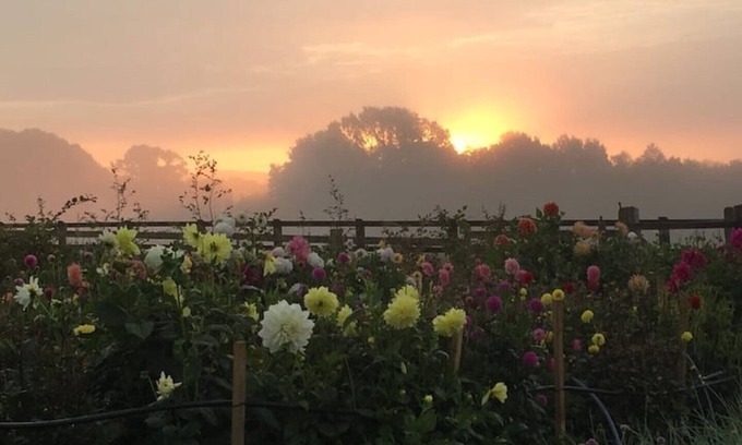 Winsham Cottage | Stylish 1 bedroom cottage on Somerset flower farm.