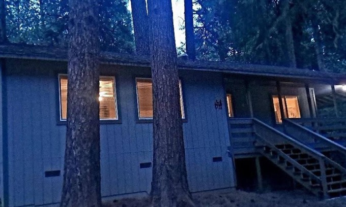 Placerville Cottage | Stylish, light filled, cottage in the trees, Tahoe close.