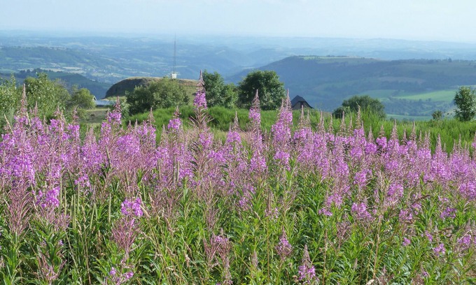 Laveissiere Apartment | SUPERB 6 PERSON APARTMENT with balcony facing south overlooking a meadow
