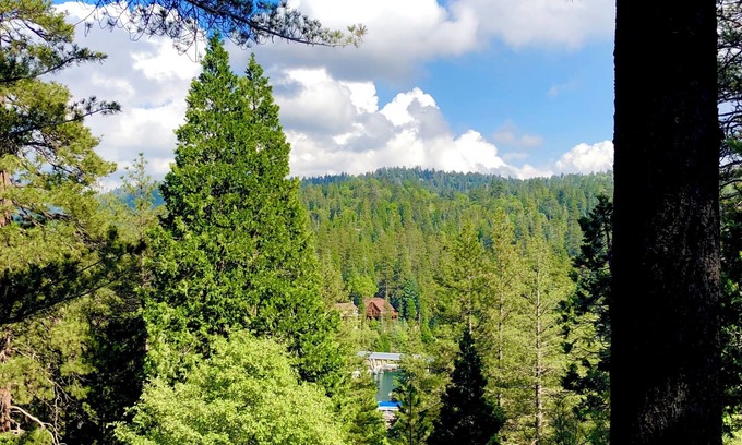 Blue Jay Cabin | Superb treetop cabin with Blue Jay Bay view and WiFi in Lake Arrowhead