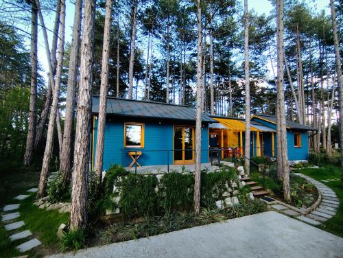Szentendrei House | Surányi kék házak