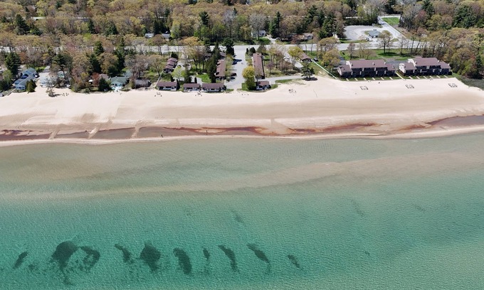 Oscoda Condo | Surfside 13 - Cute & Pet-Friendly Lakefront Condo with Washer, Dryer, A/C and Gorgeous Beach!