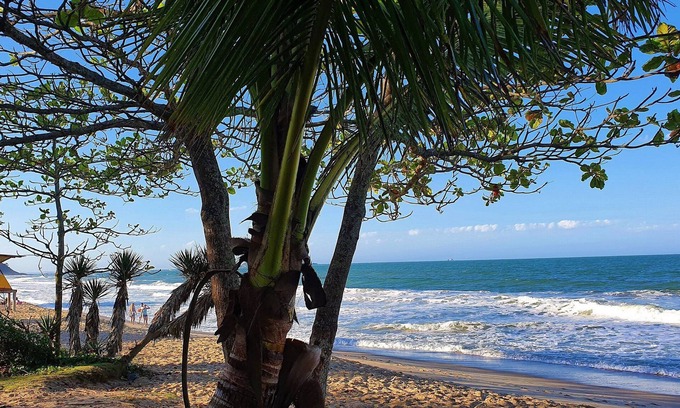 Penha Apartment | Surfside Luxury - Nautilus Home Club - Penha - SC