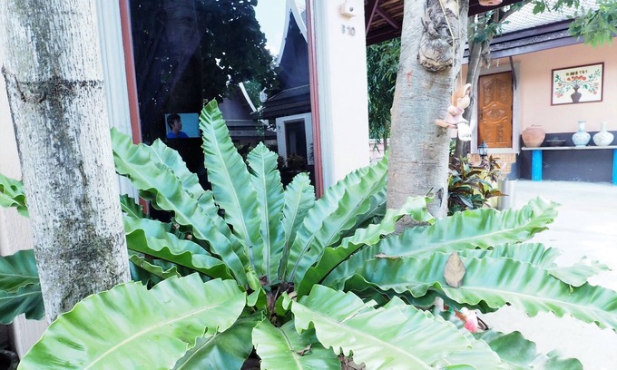 Bang Pahan Hotel | Sweet Inn Resort Hotel