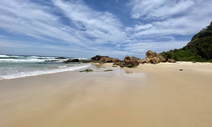 Narooma House | Sweet, neat house with bushland garden