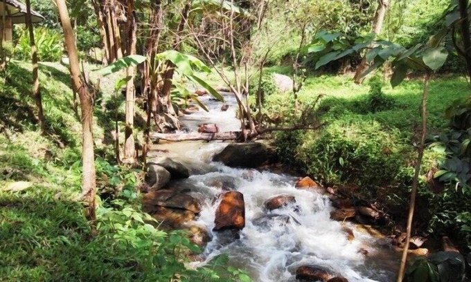 Saluang Hotel | Tadplacamp Organic Farm Stay