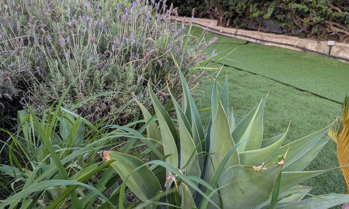 Fontane Bianche Cottage | Talia Cottage