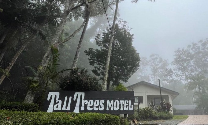 North Tamborine Hotel | Tall Trees Motel Mountain Retreat