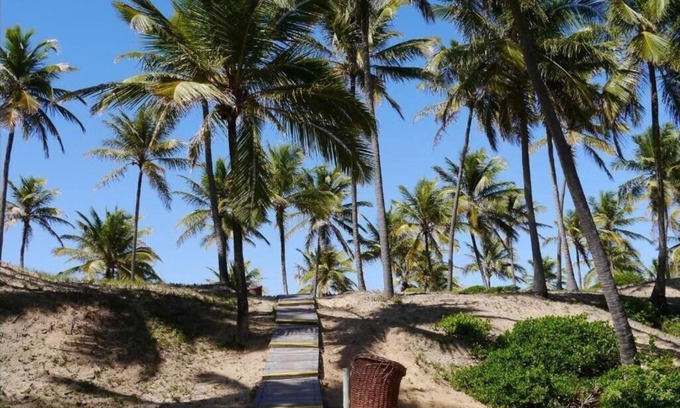 Imbassai Apartment | TAMARINDO TERRACE Imbassai Reserve